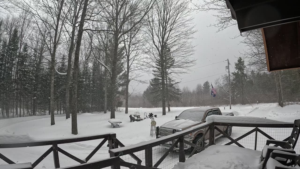 Snow Day In Michigan