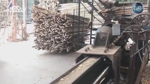 Bamboo
