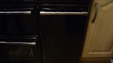 Perfect Christmas Roast Turkey | Juicy & Golden Every Time