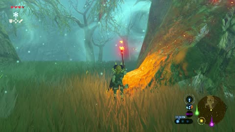 Getting The Master Sword Early - Breath of the wild