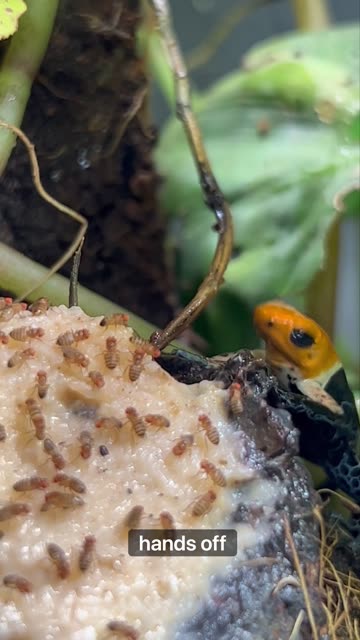 Can You Guess Where This Is Going?