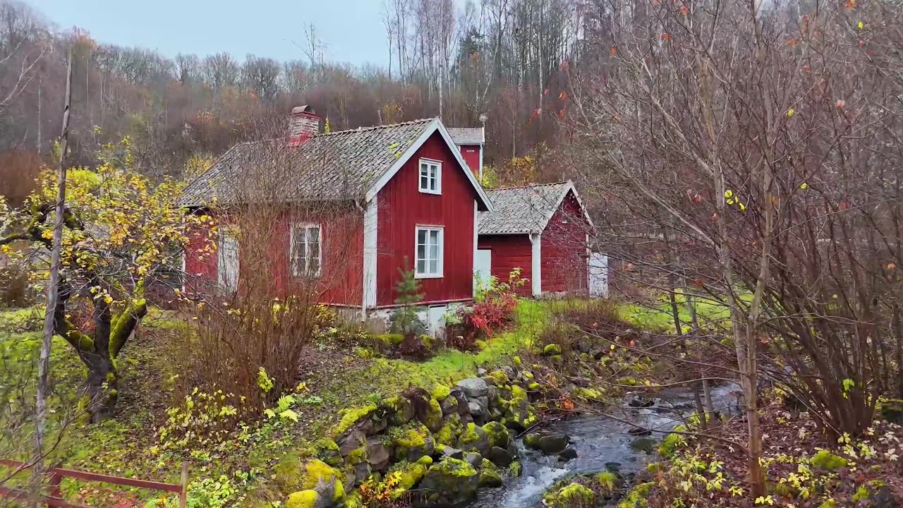 Excado Yolo Deep Focus Beats