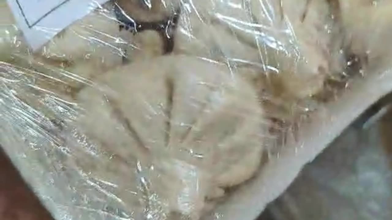 Most Americans Have NEVER Seen This! 🤯 The Secret Behind Khinkali 🇬🇪🥟