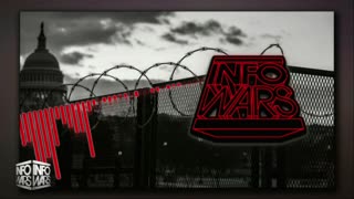 INFOWARS LIVE - 11/25/25: The American Journal with Breanna Morello / The Alex Jones Show / The War Room With Harrison Smith