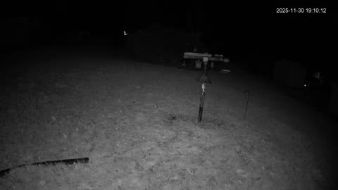 Bird Feeder in Western Maryland USA