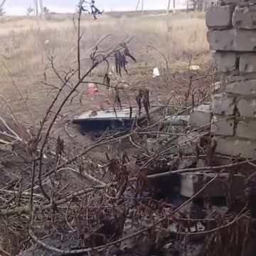 "Here Lies Our Commander, 20 Minutes Ago He Got F*cked, was Screaming like Hell!