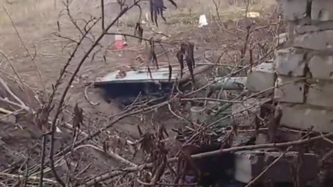 "Here Lies Our Commander, 20 Minutes Ago He Got F*cked, was Screaming like Hell!