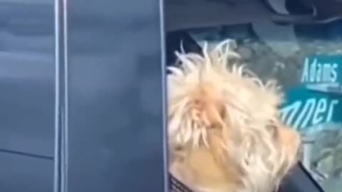 👻🔮 You Won't Believe What They Caught on Camera! #ghostlytoksa | TheHauntingHour