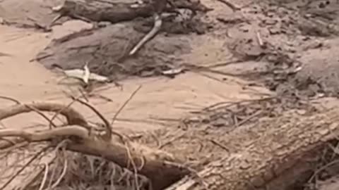 Drunk Mate Struggles To Get Ashore