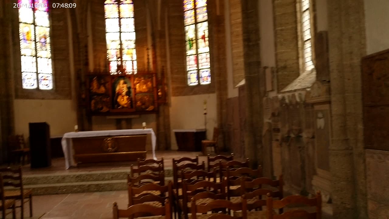 Imperial Palace Sharkhunters 10ZZVb