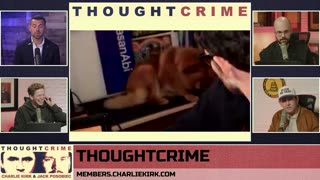THOUGHTCRIME Ep. 100 — Turning Point Halftime? Potatoes and Katie Porter? Hasan the Dog Shocker?