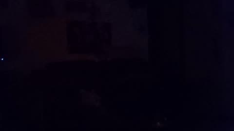 boo