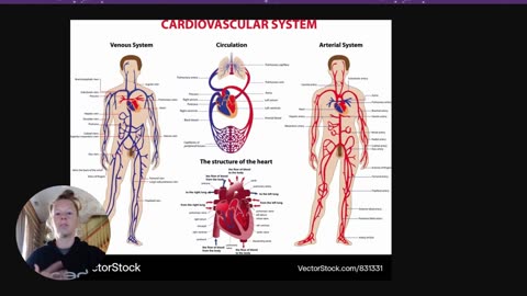 Why Wasn't Cain's Gift Good Enough? Parshah Bereishit