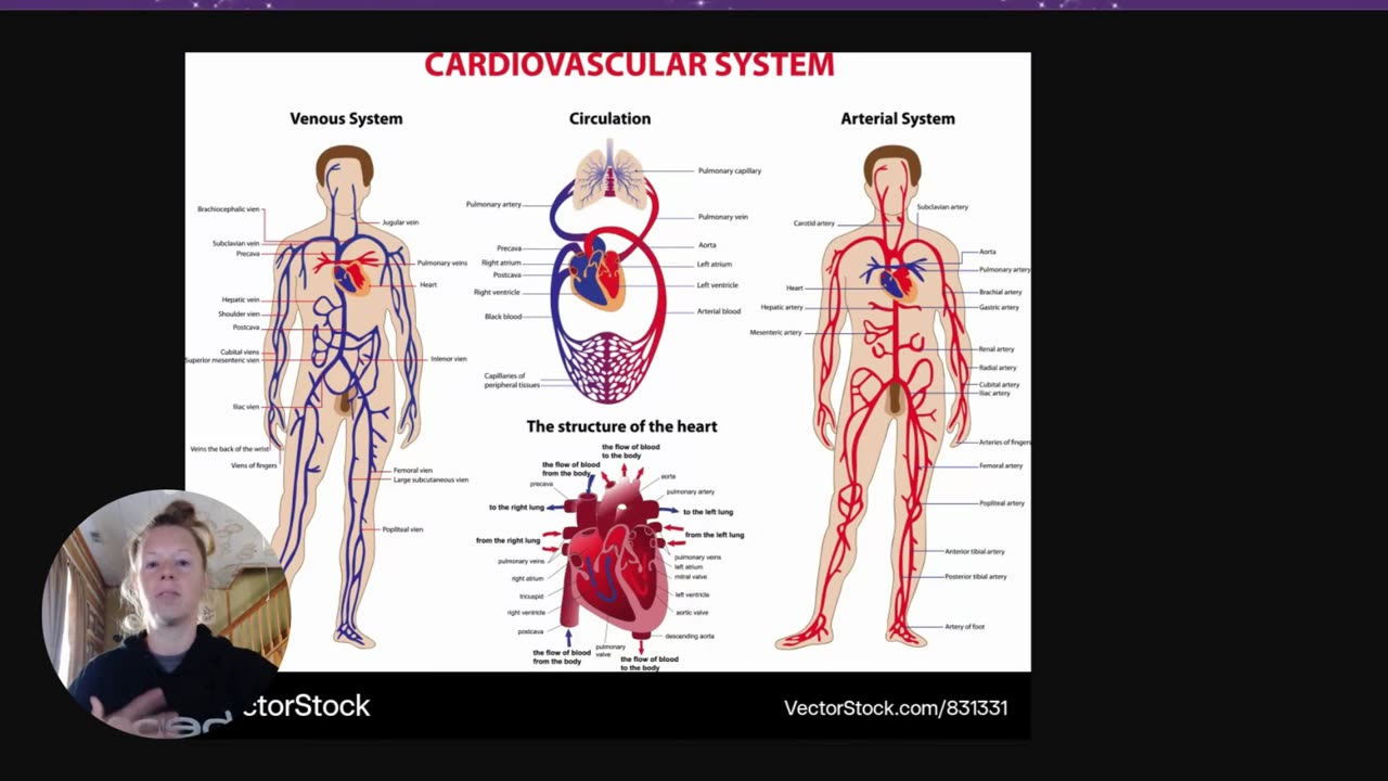 Why Wasn't Cain's Gift Good Enough? Parshah Bereishit