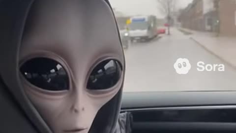 ALIEN IN THE CAR