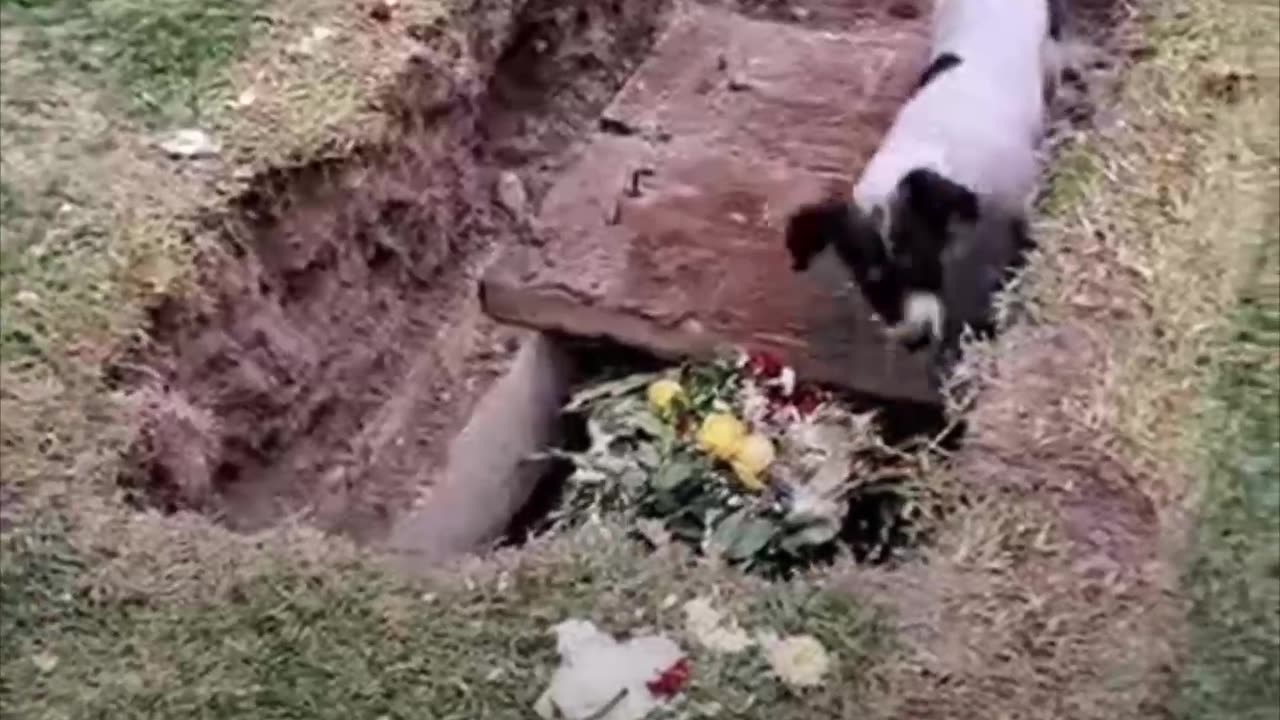 El último adiós