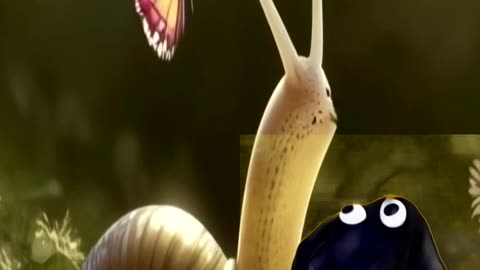 Un caracol y una mariposa - Cuentito