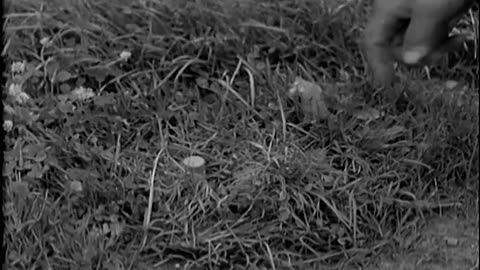MUSTARD POT ANTIPER... - MUSTARD POT ANTIPERSONNEL MINE, SEVES, FRANCE ; NOTRE DAME D - 111-adc-1969