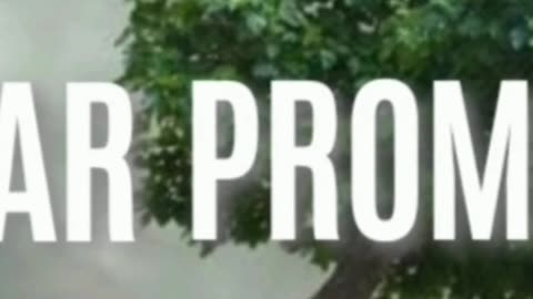 #2025 #balada Što me oče nisi voleo