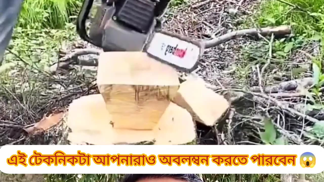 Amazing table made from leftover tree stump