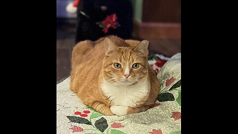 Coffee With Scott Adam 12/29/25