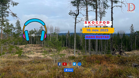 Skogpod 10. november 2025