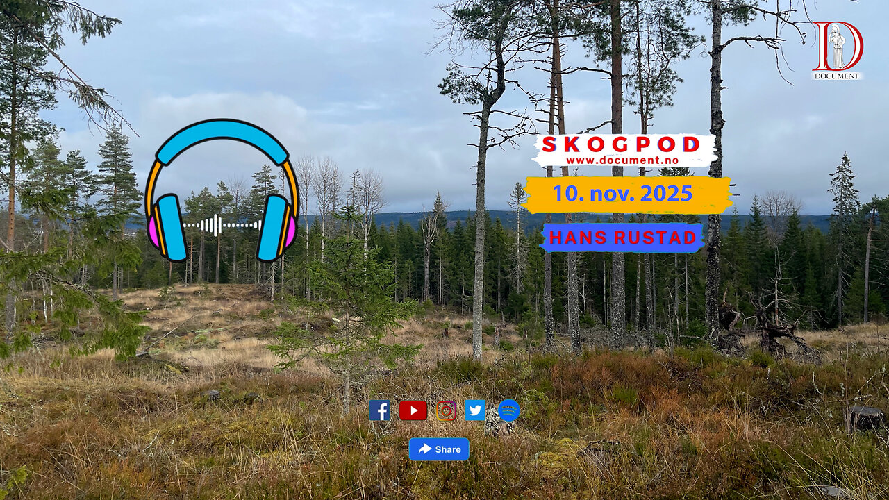 Skogpod 10. november 2025
