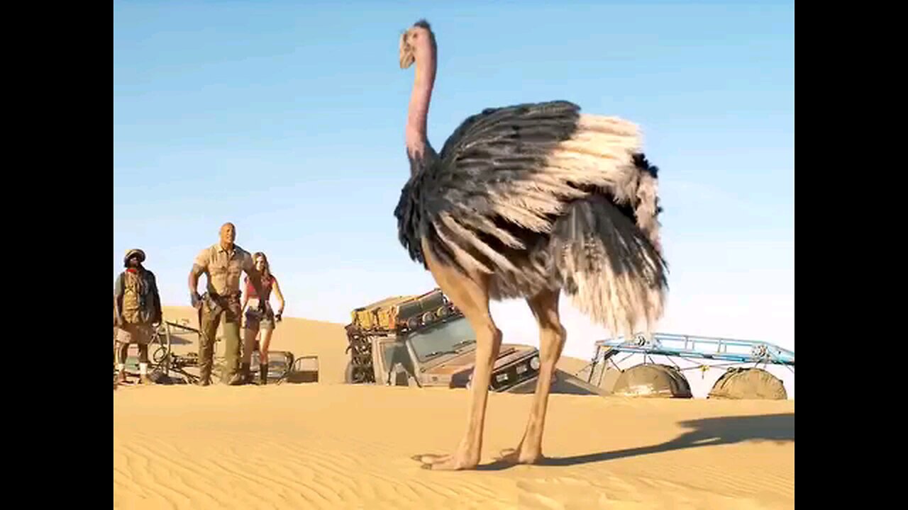 movie
