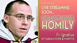 St. Fabian, Pope & Martyr - January 20, 2025 - HOMILY