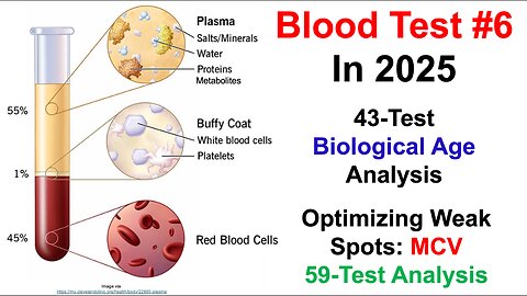 How To Track And Optimize Biomarkers: Blood Test #6 in 2025