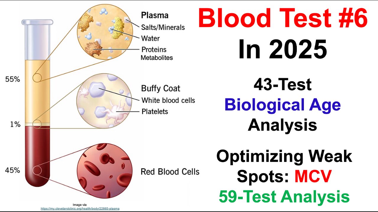 How To Track And Optimize Biomarkers: Blood Test #6 in 2025