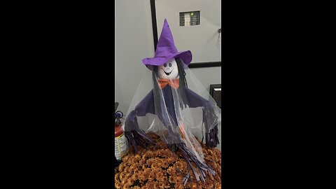 This Halloween 🎃 #halloween