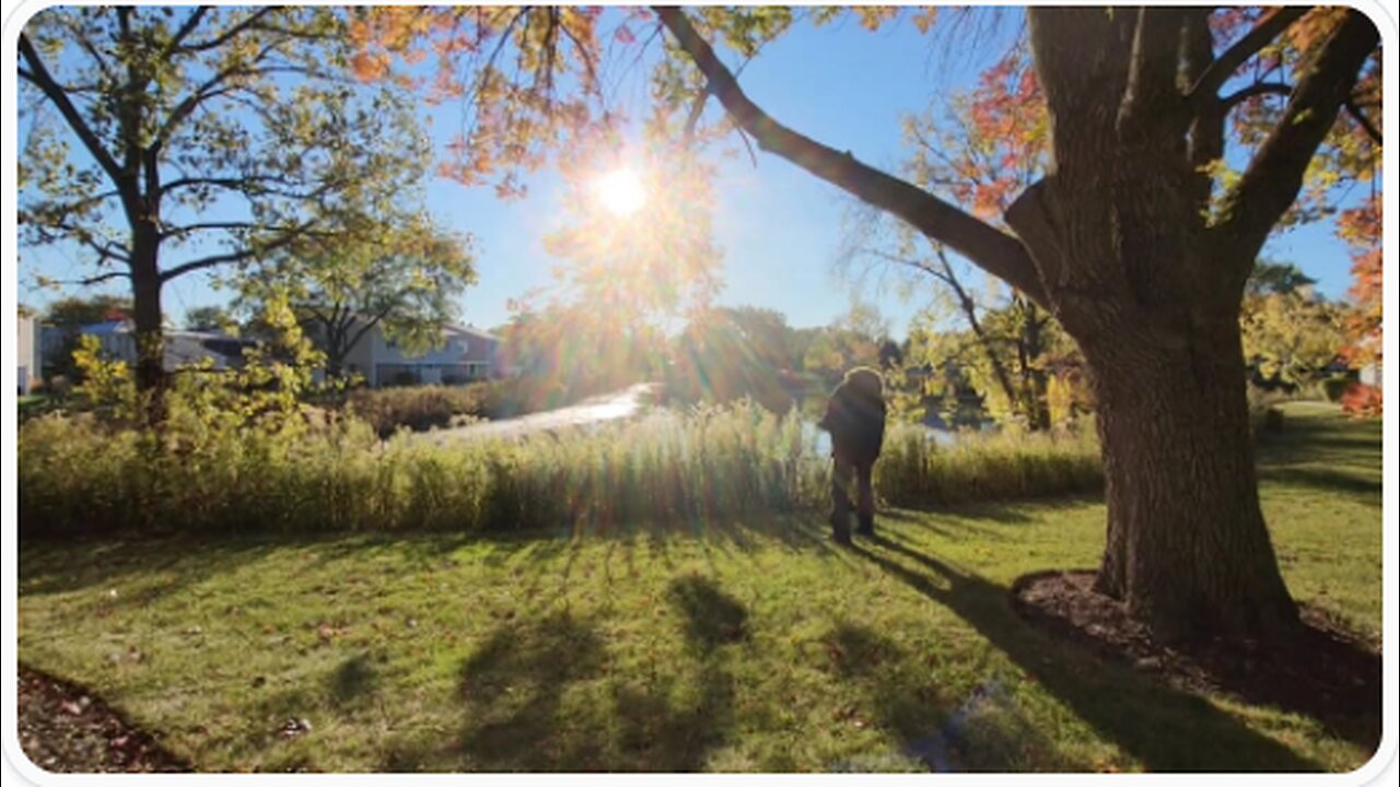 Looking..At the sun with a solar filter on my lens | Alaska Sky