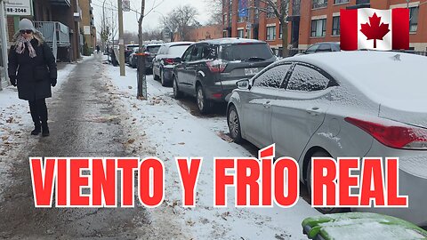 Montreal SIN FILTRO: Caminata Real a -14°C con Viento Extremo 🌬️