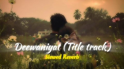 Deewaniyat ❤️ Title Track Song| Hindi song| lofi song indian song