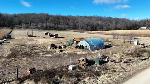 US farmers turn to Airbnb to survive agricultural downturn