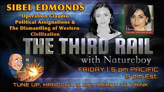 SIBEL EDMONDS | Operation Glaudio, Political Assignations & The Dismantling of Western Civilization