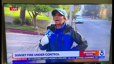Looting amid LA wildfires Looters raided houses as residents fled for their lives, Allison Agsten