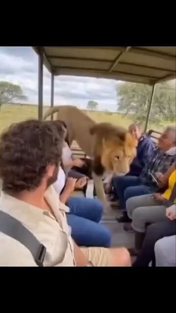 The most important thing is to be calm