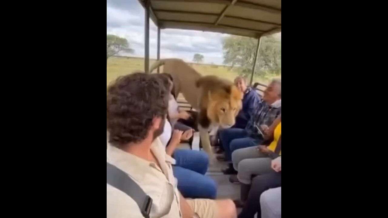 The most important thing is to be calm