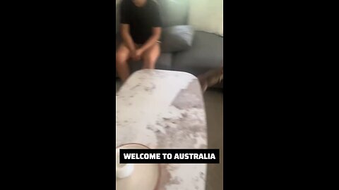 Wallaby in Australia 🇦🇺