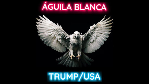 🔥𝐔́𝐋𝐓𝐈𝐌𝐀 𝐇𝐎𝐑𝐀🔥🦅𝐈𝐍𝐅𝐎 𝐃𝐄𝐋 𝐀́𝐆𝐔𝐈𝐋𝐀 𝐁𝐋𝐀𝐍𝐂𝐀🦅