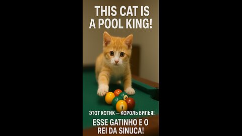 🎱 This kitten has become the KING of pool! 🐱🔥