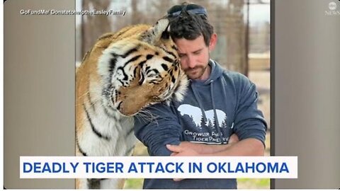 OKLAHOMA TIGER HANDLER KILLED LIVE DURING PERFORMANCE: TEETH OF WILD BEAST FOR JUDGMENT