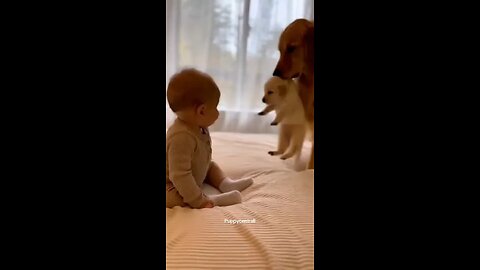 Aren’t they cute 😍