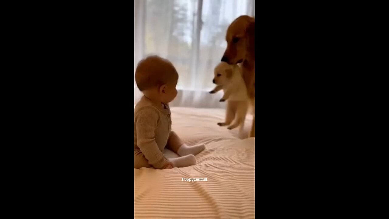 Aren’t they cute 😍