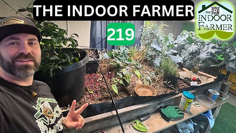 The Indoor Farmer ep 219, Transplanting, Planting, Trimming, and Washing. Let's Grow