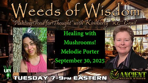 Healing with Mushrooms! Melodie Porter on Weeds of Wisdom!