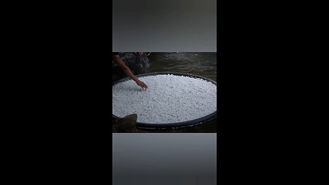 What is the unique way, what a mind did this fellow you will be surprised to see