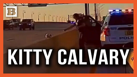 Kitty Calvary: Jacksonville Deputy Rescues Cat Stuck in the Middle of Florida Interstate